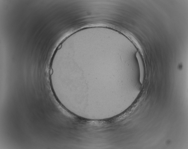 X0000116580805201001211303
