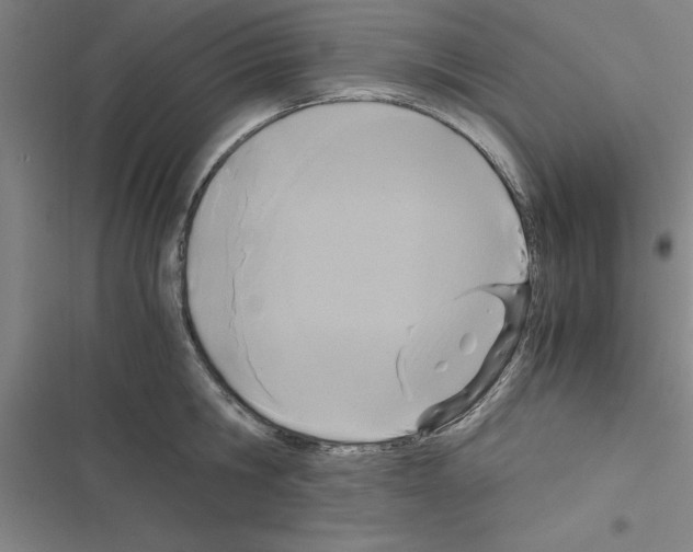X0000116580806201001211303