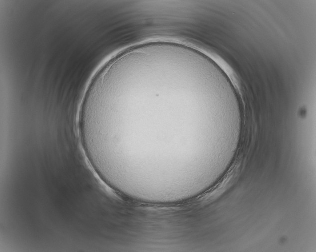 X0000116580807201001211303