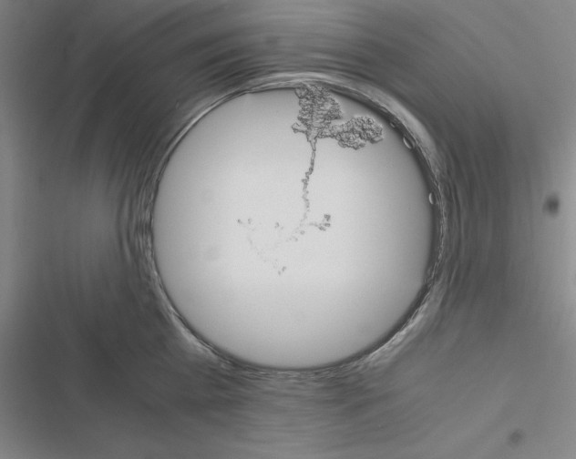 X0000116580809201001211303