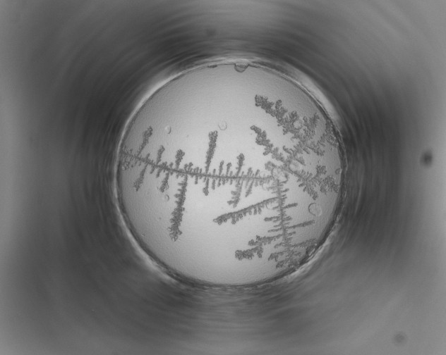 X0000116580810201001211303