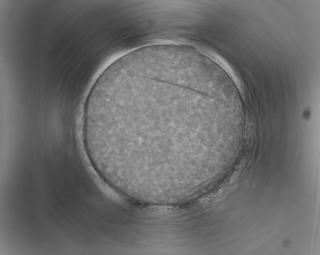 X0000116580811201001211303
