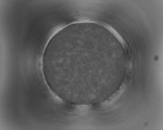 X0000116580813201001211303
