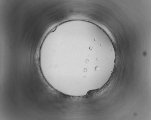 X0000116580815201001211303