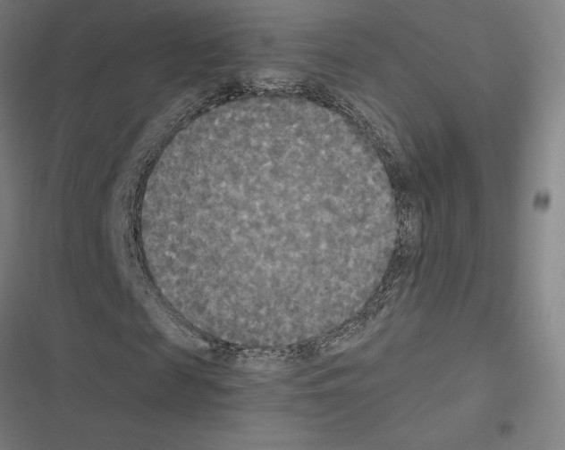 X0000116580817201001211302
