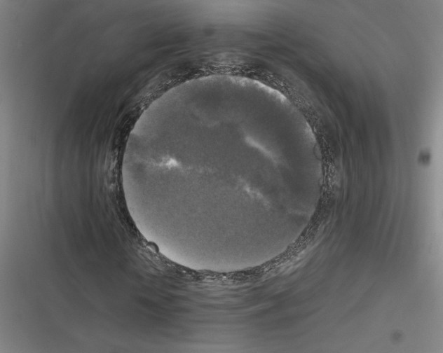 X0000116580818201001211302