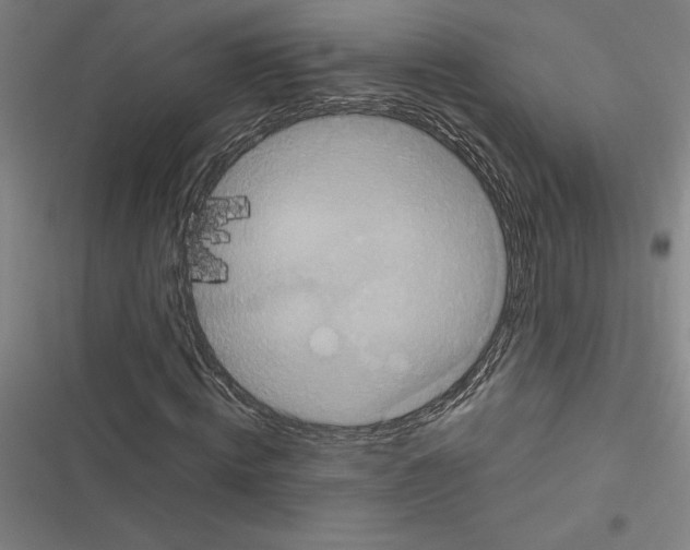 X0000116580820201001211302