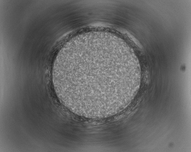 X0000116580821201001211302