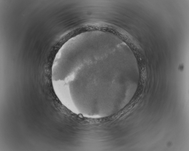 X0000116580822201001211302
