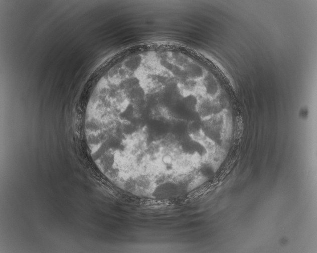 X0000116580823201001211302