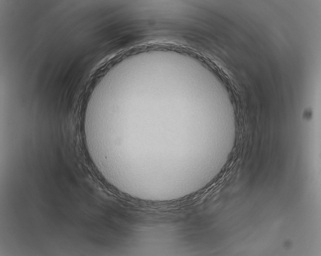 X0000116580824201001211303