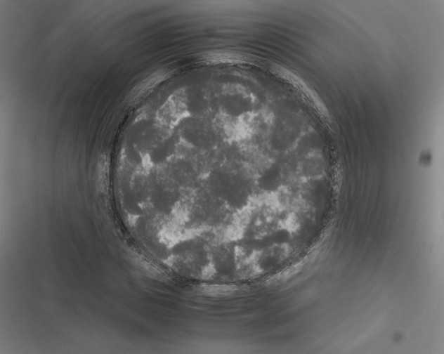 X0000116580825201001211303