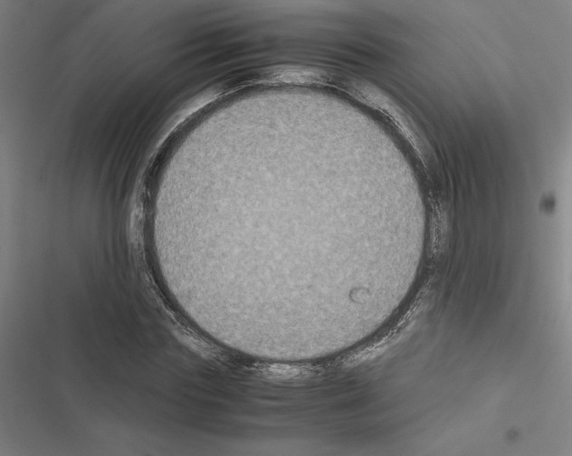 X0000116580827201001211303