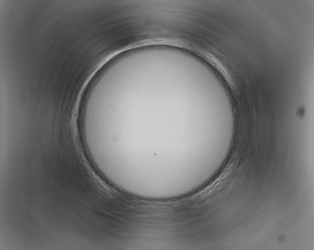 X0000116580828201001211303