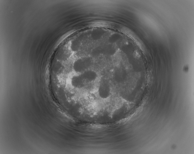 X0000116580829201001211303