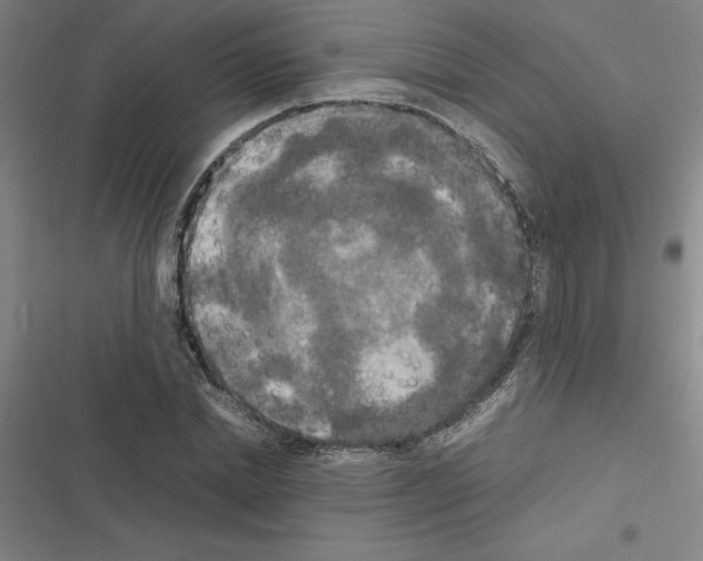 X0000116580830201001211303