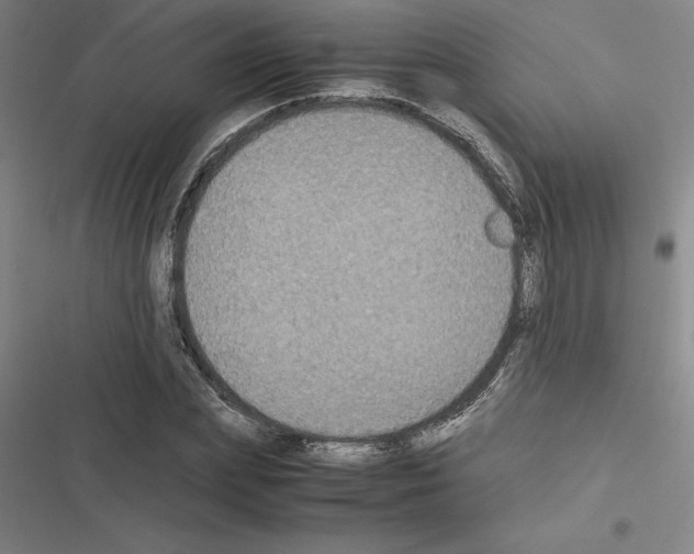 X0000116580831201001211303
