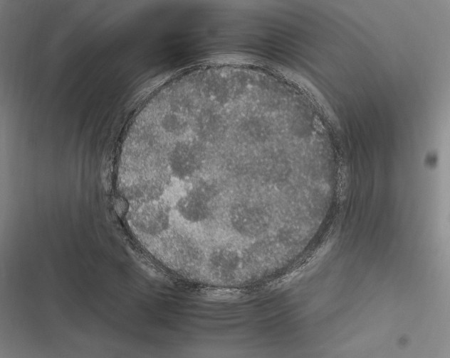 X0000116580833201001211303