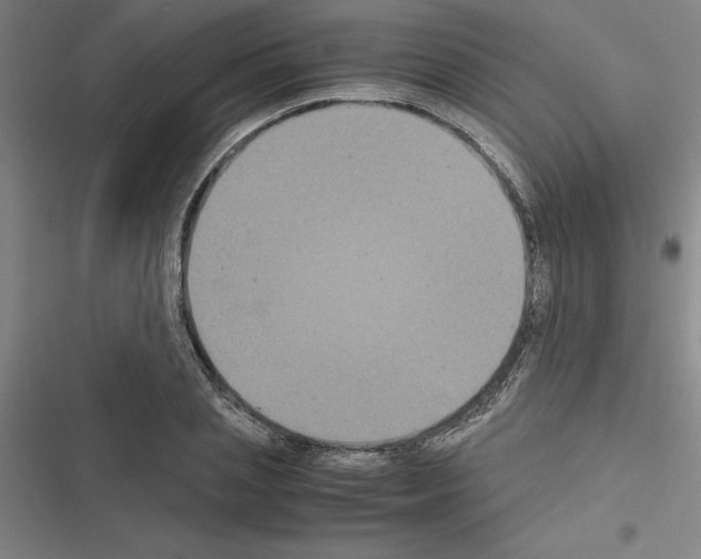 X0000116580837201001211303