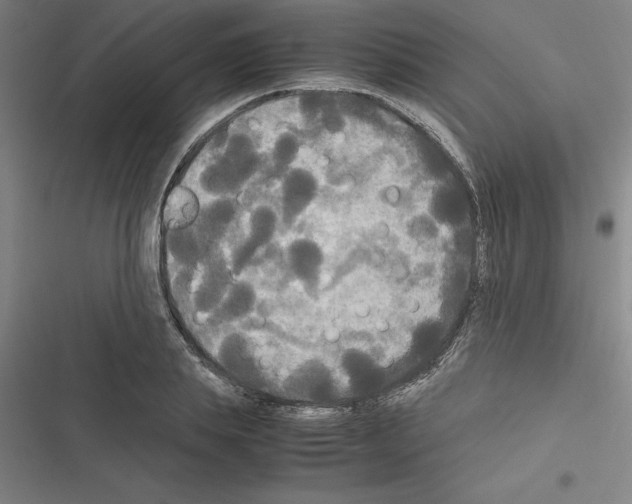 X0000116580839201001211303