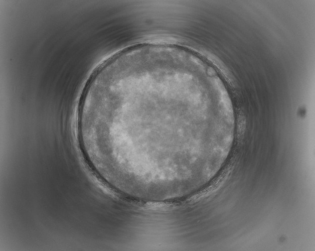 X0000116580840201001211303