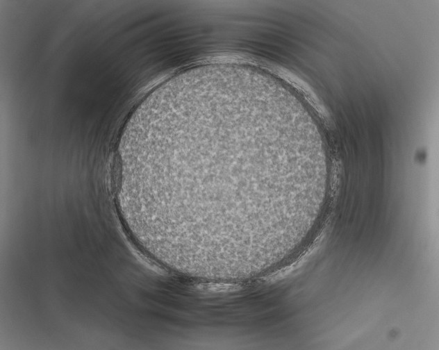 X0000116580841201001211303