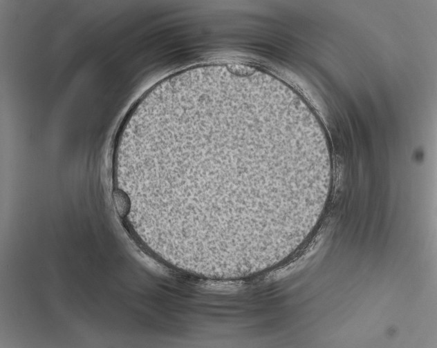 X0000116580843201001211303