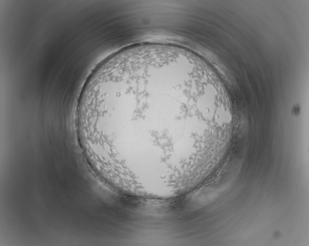 X0000116580848201001211303