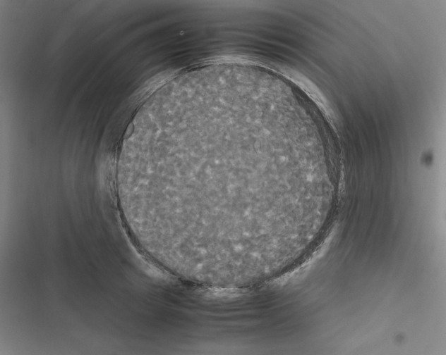 X0000116580849201001211303