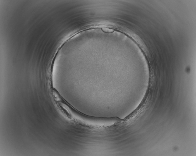 X0000116580850201001211303