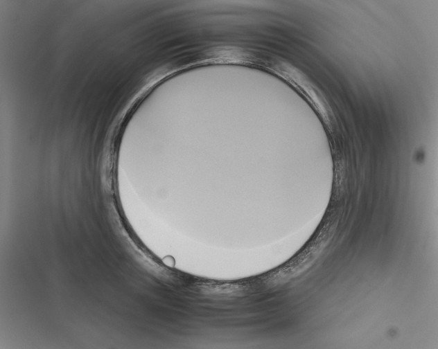 X0000116580851201001211303