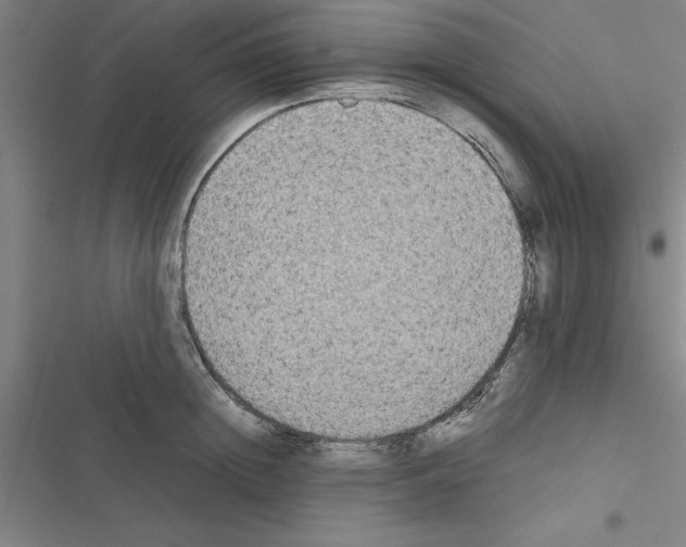 X0000116580852201001211303