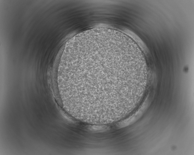 X0000116580857201001211303