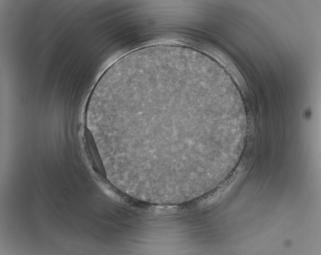X0000116580858201001211303