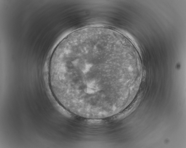 X0000116580859201001211303