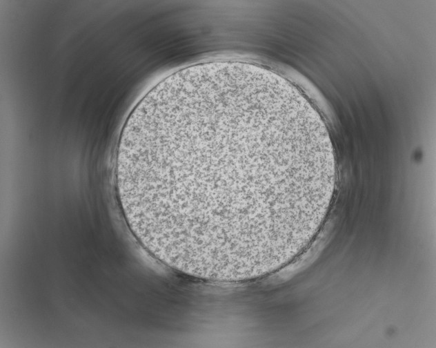 X0000116580860201001211303