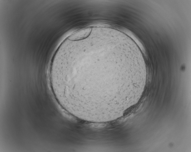 X0000116580861201001211303