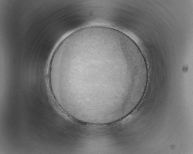 X0000116580864201001211303