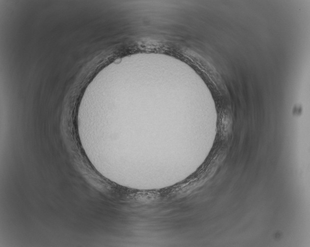 X0000116580865201001211302