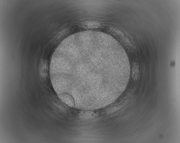 X0000116580866201001211302