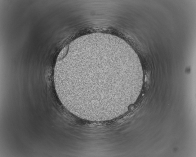 X0000116580867201001211302