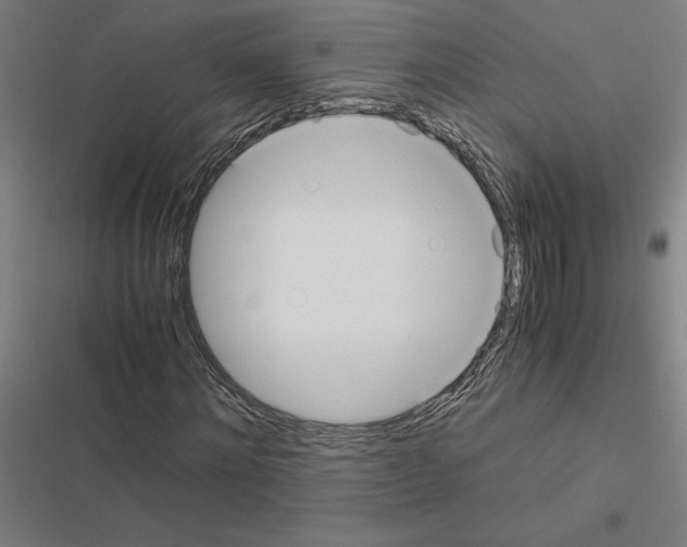 X0000116580868201001211302