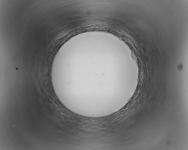 X0000116580869201001211302