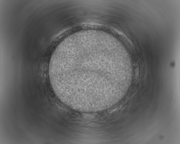 X0000116580870201001211302