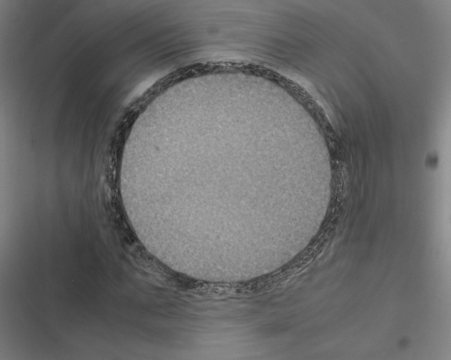 X0000116580871201001211302