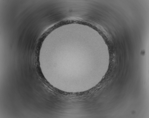 X0000116580872201001211302