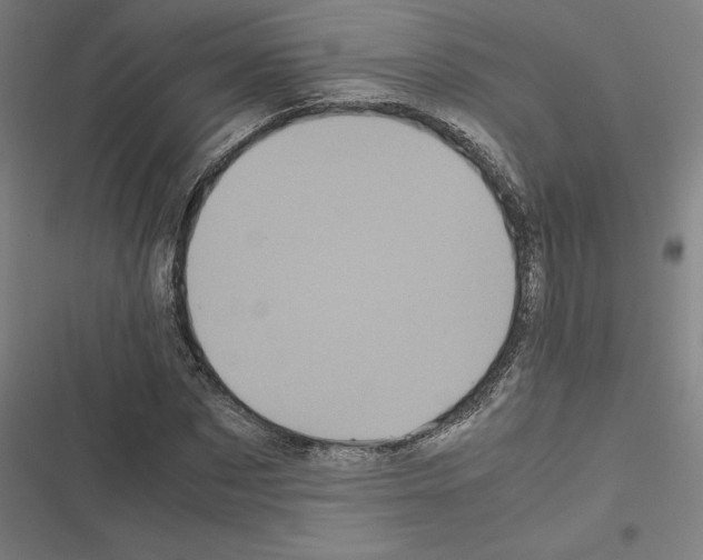 X0000116580873201001211302