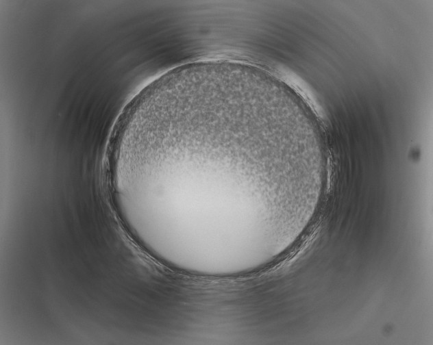 X0000116580876201001211302