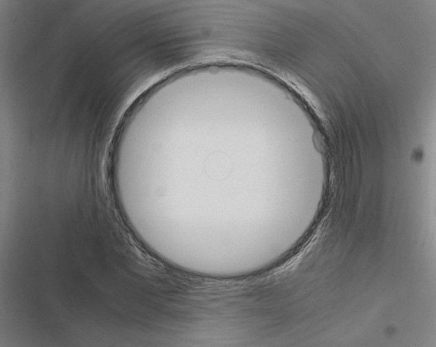X0000116580877201001211302