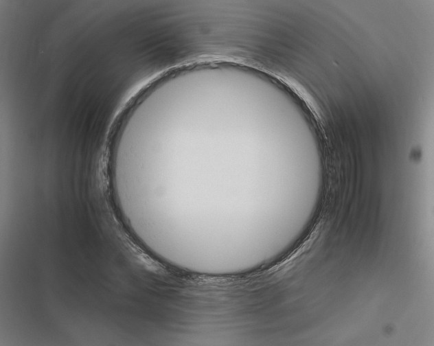 X0000116580878201001211302